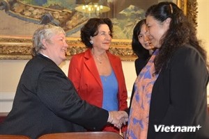 Vietnam, France to foster ties - ảnh 1